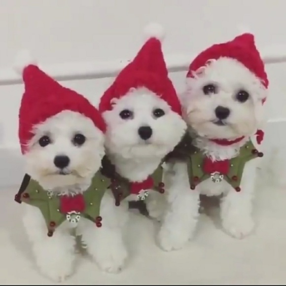 Be kind 2one another❤ - Picture 4 of 8